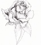 flower designs for tattoos rose