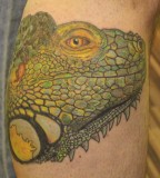 Chameleon-tattoo