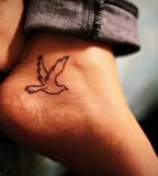 elegant bird tattoo contour drawing