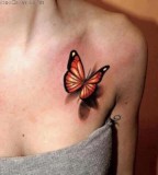 realistic tattoo butterfly shoulder tattoo