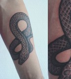 snake tattoo by diana katsko