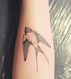 swallow tattoo by diana katsko
