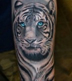 Blue eyes tiger tattoo