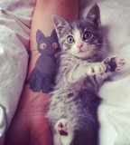 Double cats tattoo