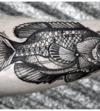 Fish tattoo by David Hale