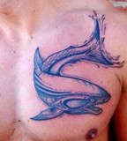 blue ink tattoo shark on chest