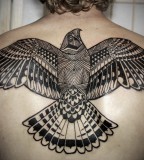 david hale tattoo bird blackwork back piece
