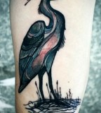 david hale tattoo bird in water