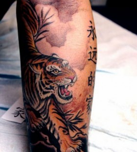 Chinese tiger tattoo by Corey Miller