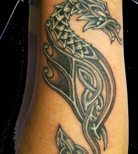Dragon tattoo close up look