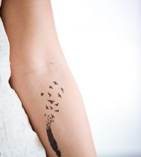 black feather tattoo image transforming into birds
