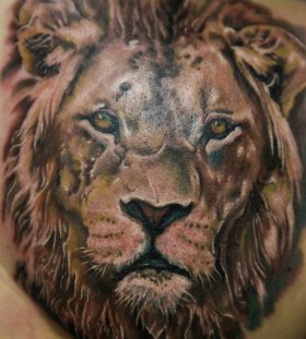 Tiger tattoo by Seunghyun JO aka Potter