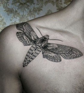 Butterfly tattoo by Chaim Machlev