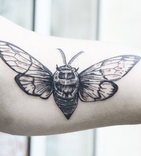 Pretty black insect tattoo