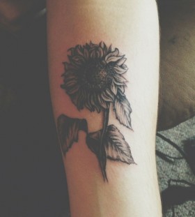 Sunflower wild tattoo