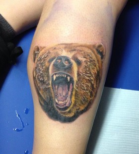 Angry brown bear tattoo on leg