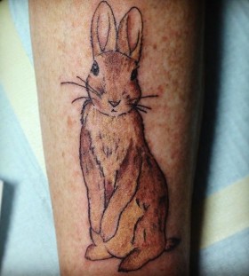 Beautiful brown rabbit tattoo on arm