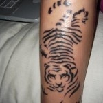 Black lines of tiger tattoo on arm