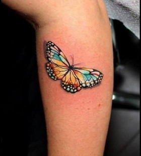 Bright simple butterfly tattoo on arm