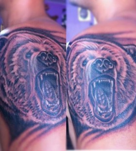 Brown amazing bear tattoo on shoulder