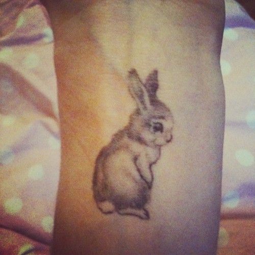 Cute small rabbit tattoo on arm