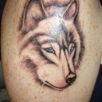 Lovely brown wolf tattoo on arm