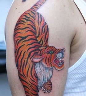 Realistic colors tiger tattoo on arm