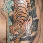 Small lovely tiger tattoo on arm
