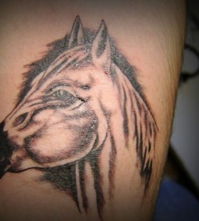 White and brown horse tattoo on arm