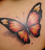 Beautiful 3d Butterfly Tattoo Design