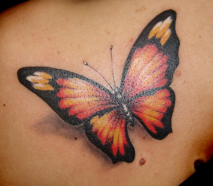 Beautiful 3d Butterfly Tattoo Design
