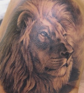 Amazing lion tattoo by Xavier Garcia Boix