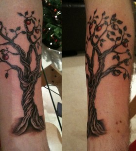 Apple tree arm tattoo