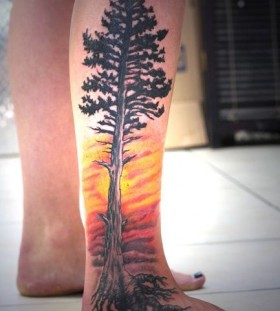 Awesome pine tree and sunset tattoo