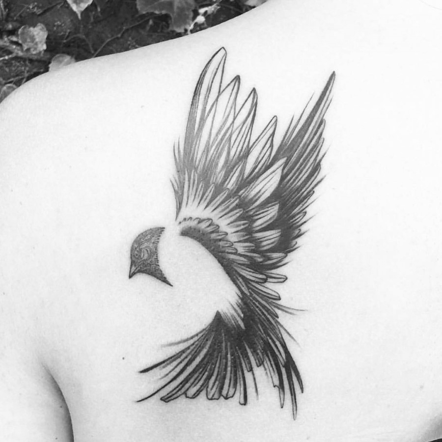 bird tattoo by dinonemec