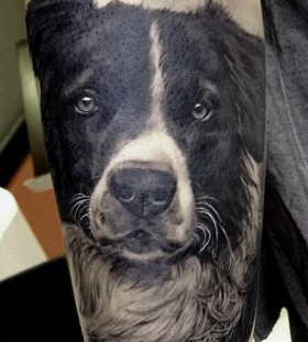 Black adorable dog's tattoo