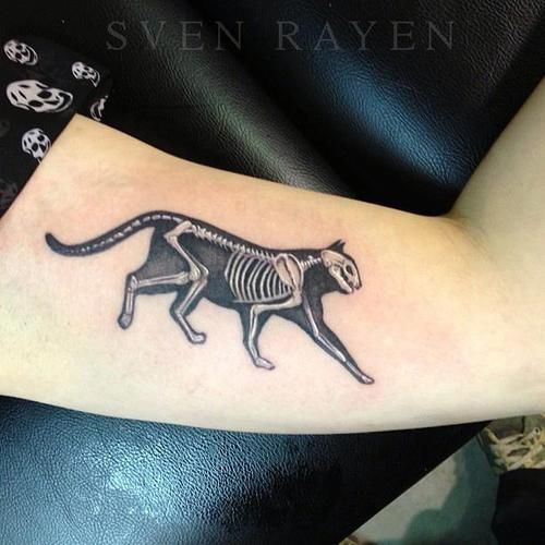 Cat skeleton tattoo