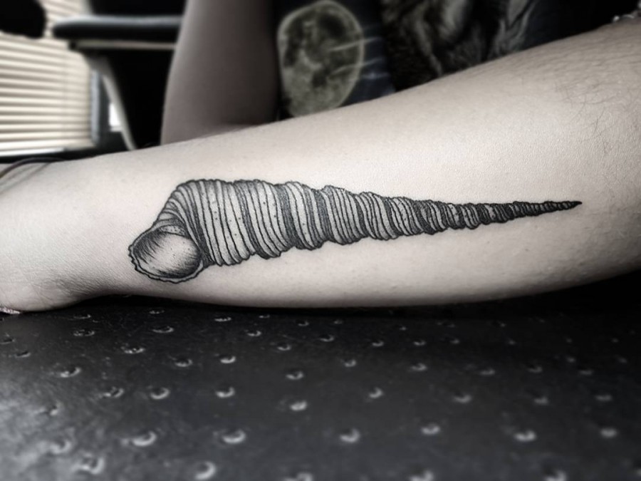conch shell tattoo by tarita aurora