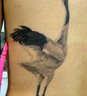 Cool crane back tattoo
