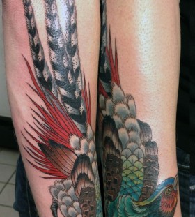 Cool pheasant tattoo