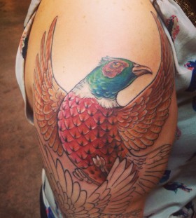 Lovely pheasant arm tattoo