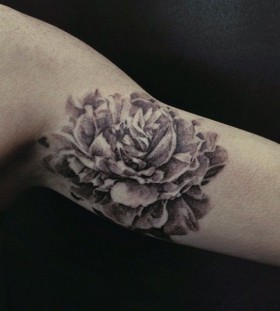 Peony arm tattoo by David Allen