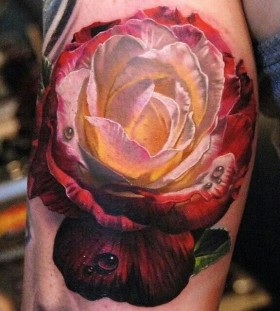 Realistic rose tattoo by Phil Garcia