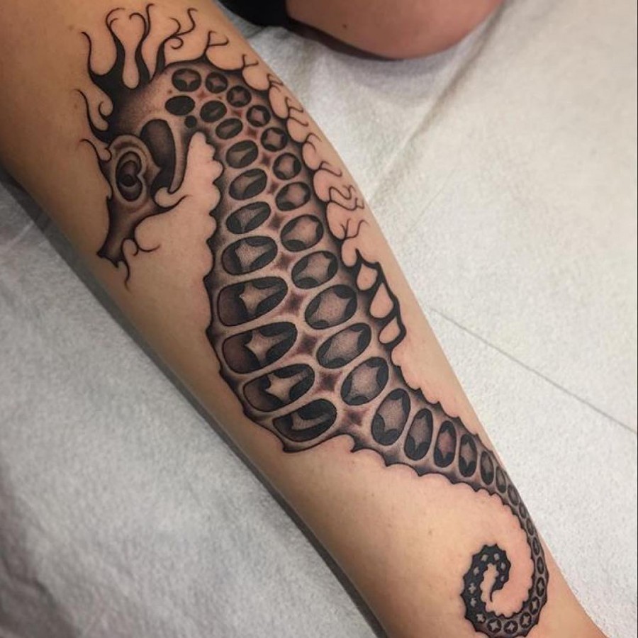 seahorse-tattoo-by-siobhan-essig