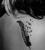 Back Feather Tattoo Design for Women