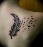 Awesome Feather Tattoo Designs For Girls