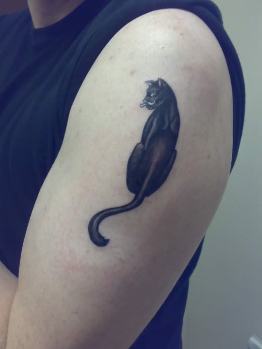 Simple Cute Black Cat Tattoo On Half Sleeve