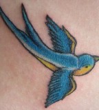 Sparrow Tattoo Learn The Deep Meanings Of The Sparrow Tattoo