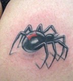 Black Widow Spider Tattoo On Buttocks (NSFW)