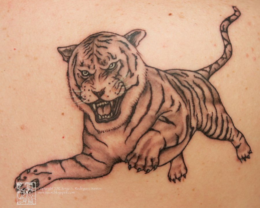 Tattoo Bar Siem Reap Cambodia Tiger
